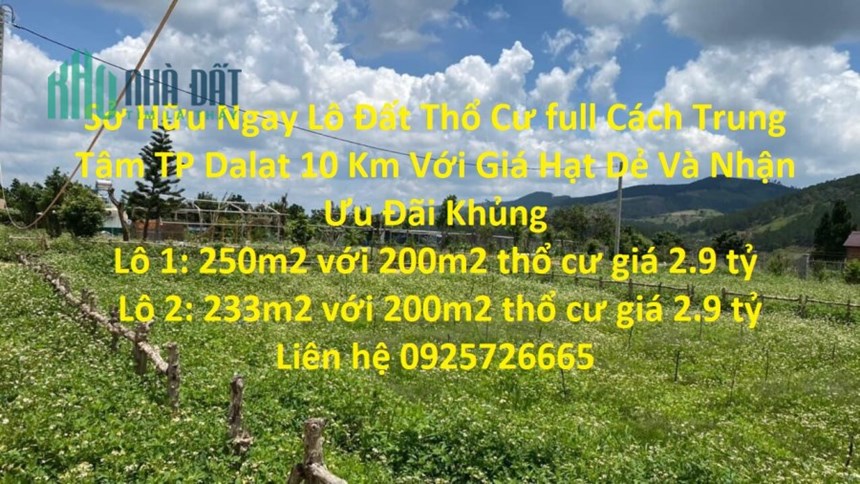 Sở Hữu Ngay Lô Đất Thổ Cư full Cách Trung Tâm TP Dalat 10 Km Với Giá Hạt Dẻ Và Nhận Ưu Đãi Khủng