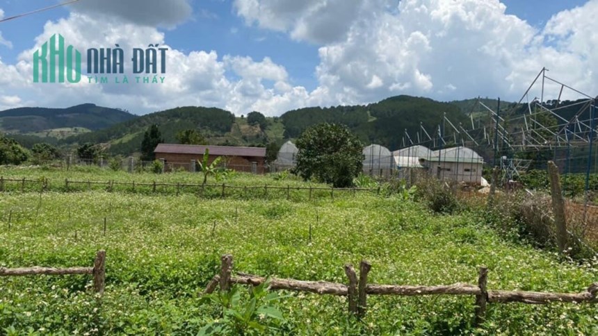 Sở Hữu Ngay Lô Đất Thổ Cư full Cách Trung Tâm TP Dalat 10 Km Với Giá Hạt Dẻ Và Nhận Ưu Đãi Khủng