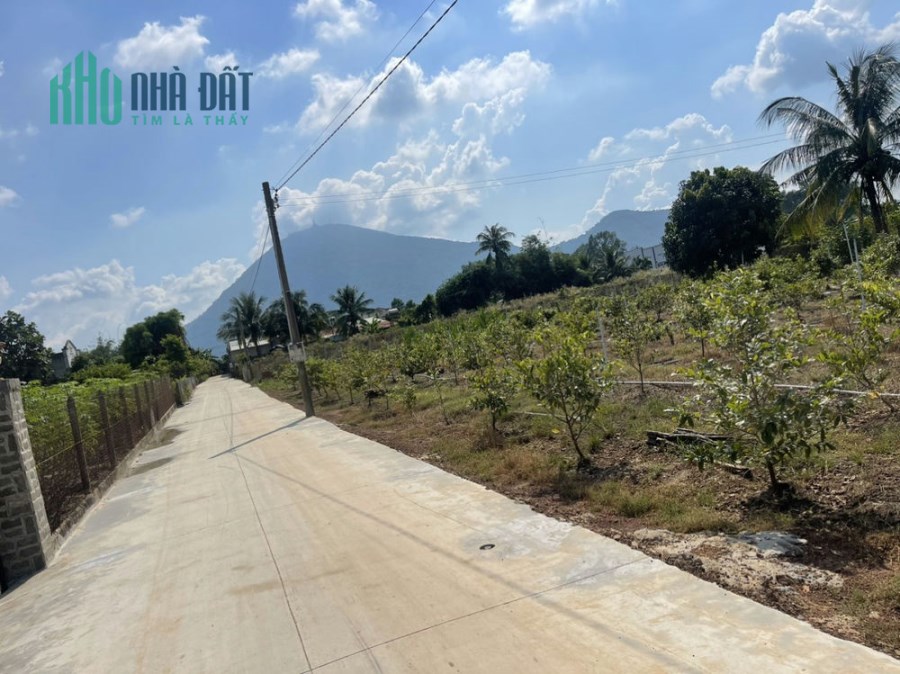 Chính Chủ Cần Tiền Bán Gấp Lô Đất Dương Minh Châu 170m2 Thổ Cư Giá Rẻ