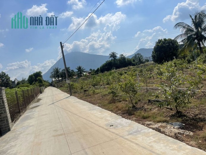 Chính Chủ Cần Tiền Bán Gấp Lô Đất Dương Minh Châu 170m2 Thổ Cư Giá Rẻ