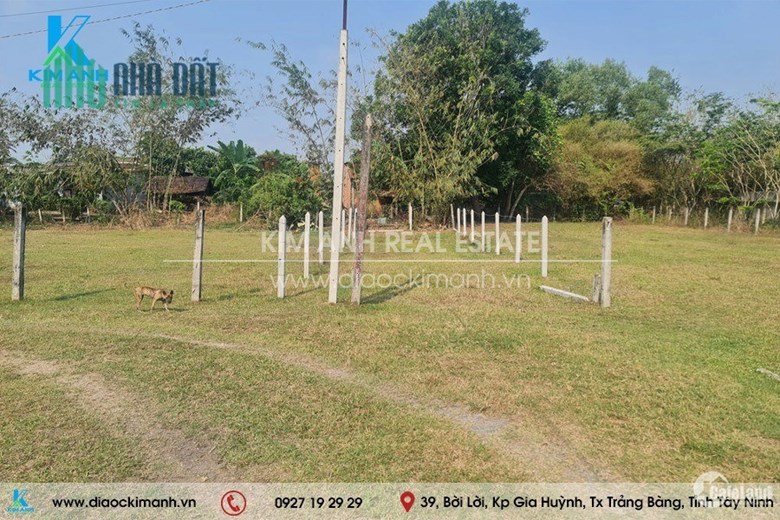 Cần tiền kinh doanh - Bán đất Thổ cư Trung tâm Thị xã Trảng Bàng, Tây Ninh: