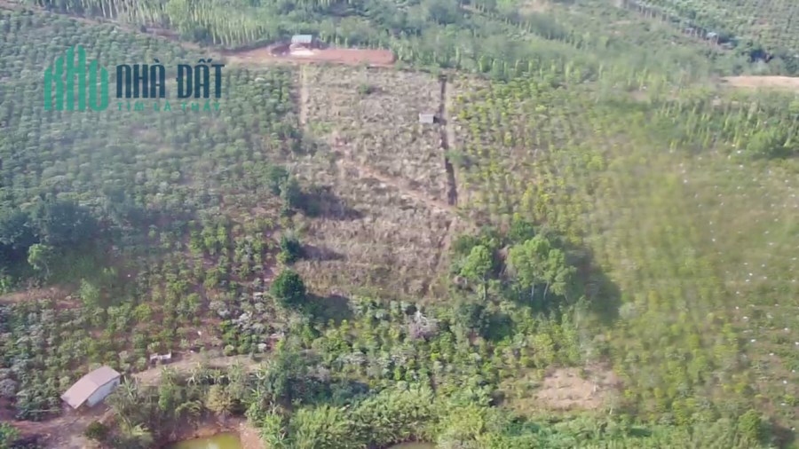 BÁN ĐẤT GIÁ RẺ (dak hòa, dak song,đak nong)