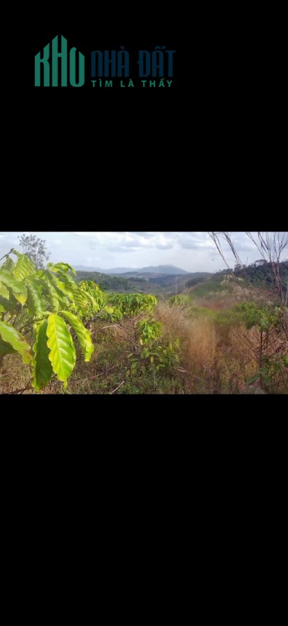 BÁN ĐẤT GIÁ RẺ (dak hòa, dak song,đak nong)