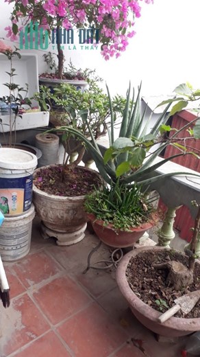 Bán nhà Minh Khai Hai Bà Trưng 86m2 x 5 tầng, MT 6m giá 29.5 Tỷ