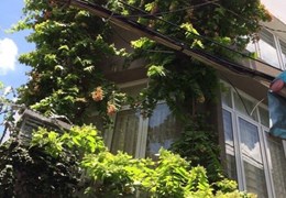 Bán Nhà 4 Tầng - 52m2 Đường Hòa Hảo - Quận 10, Giá: 8.8 Tỷ - 0902934079