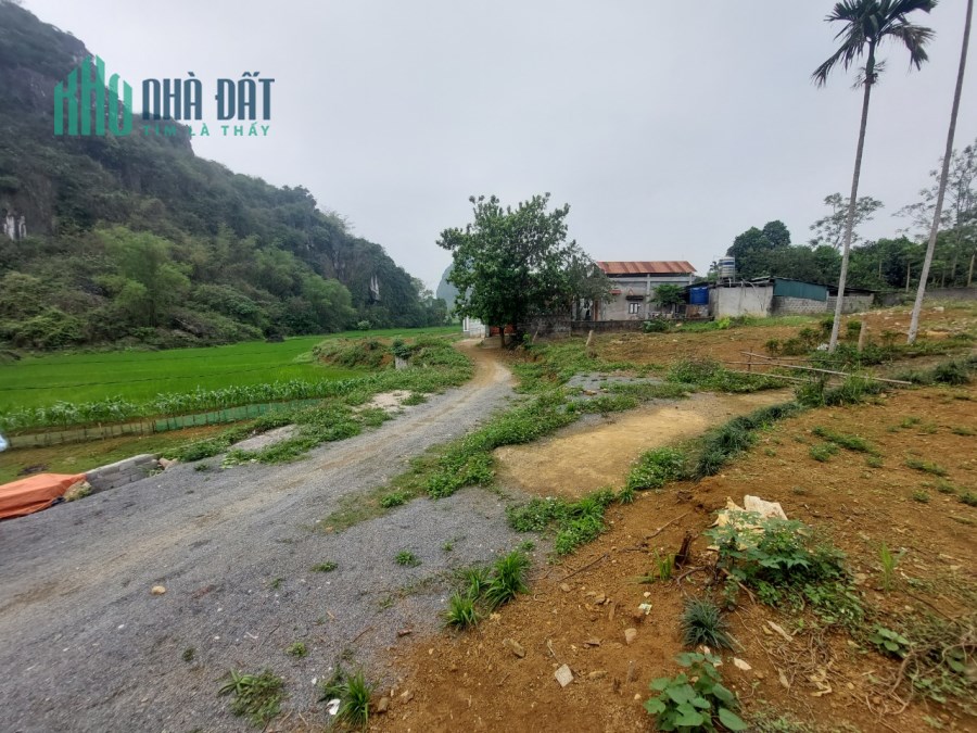 Cần bán lô đất diện tích 2000m,trong đó 1741m đất thổ cư