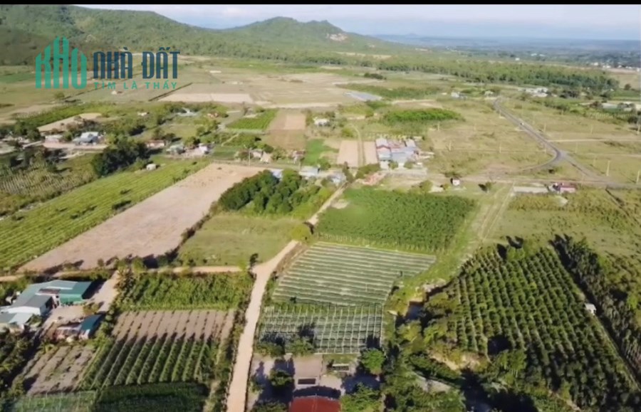 🌳ĐẤT MẶT TIỀN ĐÀO DUY TỪ 🌳BÁN 300 LÔ ĐẤT GIA LAI 🌳
