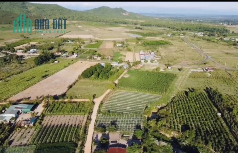 🌳ĐẤT MẶT TIỀN ĐÀO DUY TỪ 🌳BÁN 300 LÔ ĐẤT GIA LAI 🌳