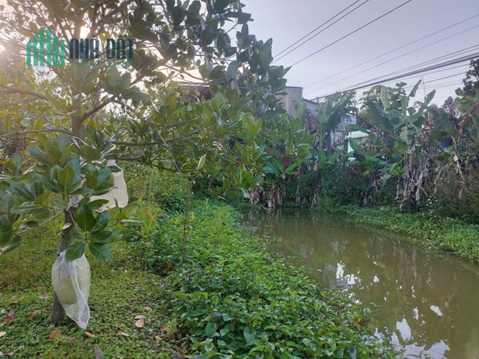 CHÍNH CHỦ CẦN BÁN ĐẤT TẶNG NHÀ KÈM NỘI THẤT.