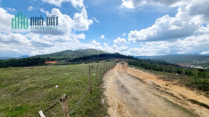 Cần bán gấp lô đất view đẹp giá rẻ tại ĐaSar, Lạc Dương 4900m2 giá chỉ 2.8 tỷ