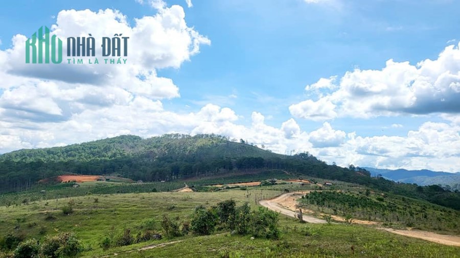 Cần bán gấp lô đất view đẹp giá rẻ tại ĐaSar, Lạc Dương 4900m2 giá chỉ 2.8 tỷ