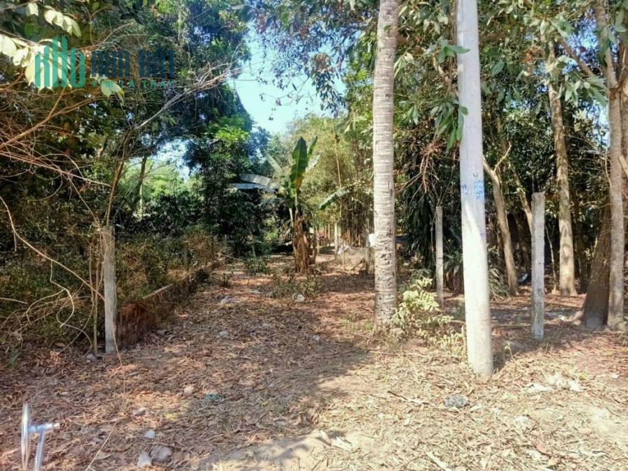 Bán 108m2 đất X.Trường Tây, H.Hòa Thành, T.Tây Ninh, SHR, 490tr. Lh:0942582202 :