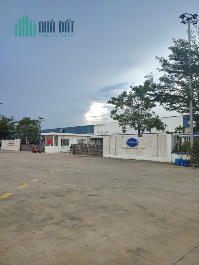 MẶT TIỀN QUỐC LỘ 22B, GIÁ SIÊU RẺ TẠI GÒ DẦU, TÂY NINH