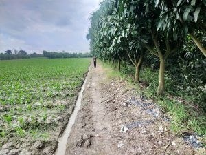 Chính Chủ Cần Bán Lô Đất Vị Trí Đẹp Tại Đồng Tháp.