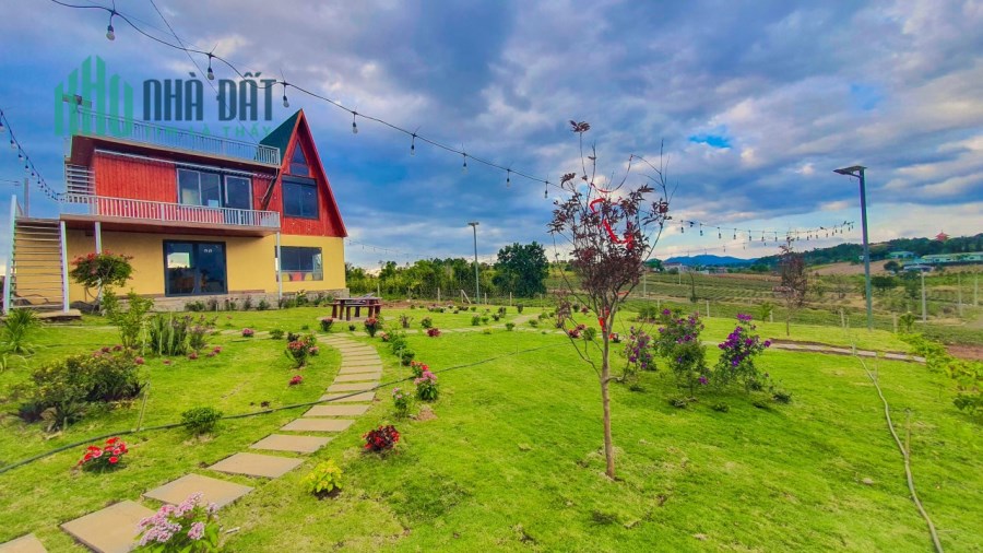 Bán Homestay ngay mặt tiền đường Khúc Thừa Dụ giá 1tỷ5