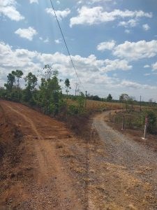 Cần Bán 2 Lô Đất Vị Trí Đẹp Tại Huyện Cư Mgar- Tỉnh Đắk Lắk