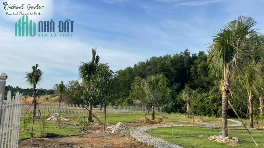 ĐẤT TRỒNG CÂY ĂN QUẢ ĐỊNH QUÁN