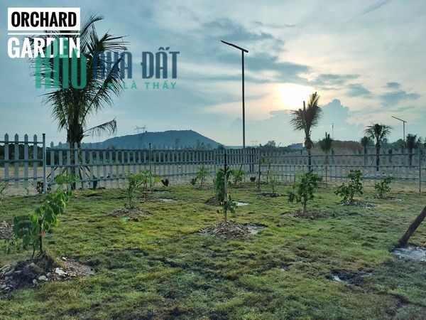 ĐẤT TRỒNG CÂY ĂN QUẢ ĐỊNH QUÁN