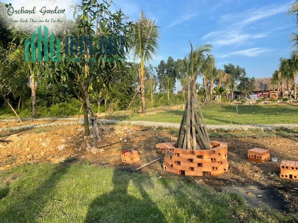ĐẤT TRỒNG CÂY ĂN QUẢ ĐỊNH QUÁN