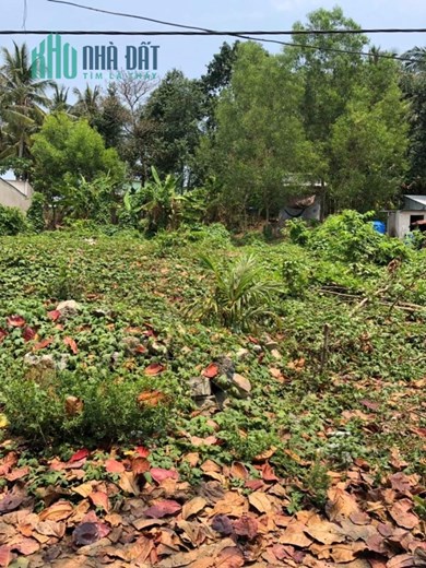 CHÍNH CHỦ CẦN BÁN GẤP Lô Đất Vị Trí Siêu Đẹp – Giá Đầu Tư Tại Hà Tiên, Kiên Giang