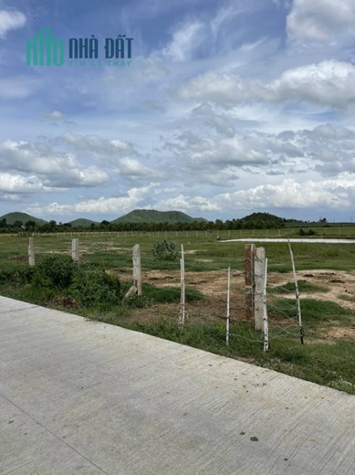 Em đang kẹt tiền cần bán gấp , 829mv đất bình thuận hàm thuận Bắc . 104m mặt tiền bê tông