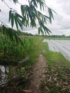 Chính Chủ Cần Bán Lô Đất Vị Trí Đẹp Tại Tp Cần Thơ