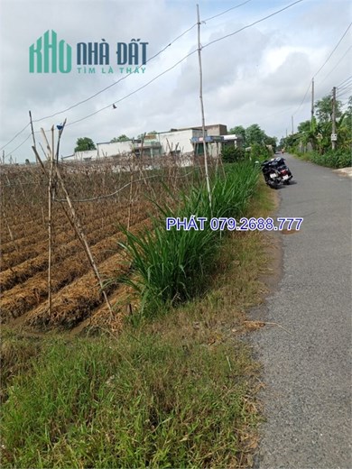 CẦN BÁN ĐẤT MẶT TIỀN ĐƯỜNG NHỰA 5M ,diện tích 15 m x 67m Tân Đông 120tr