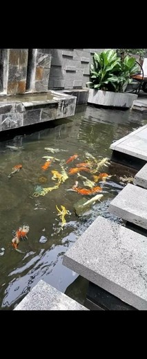 Siêu Phẩm VILLA  p.13 quận Bình Thạnh,full nội thất,đường trươc nhà 16m 070.66666.27