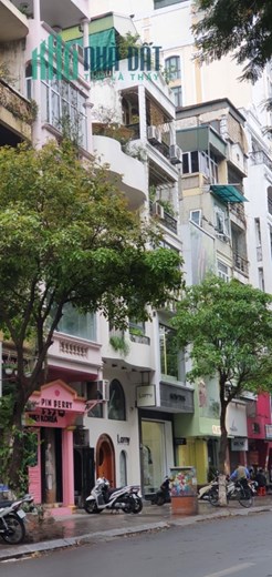 Bán tòa mặt phố Bà Triệu, Hai Bà Trưng 160mx9T thang máy, ô tô, KD giá 80 tỷ. LH: 0366051369