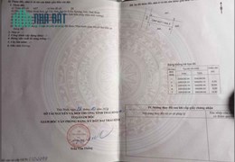 Chính chủ cần bán lô dất tại Thôn Bình Sơn - Xã Tây Sơn - Huyện Kiến Xương - Tỉnh Thái Bình .