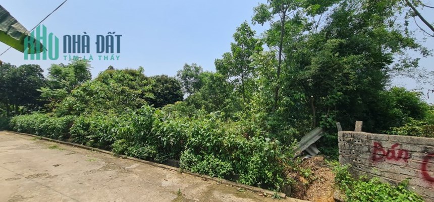 Thanh lý đất xã Kỳ Đồng, huyện Kỳ Anh, Hà Tĩnh - 562m2, 13m mặt tiền, đường ô tô tránh, miễn TG