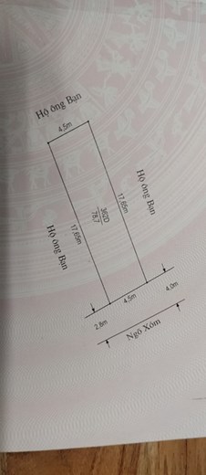 Bán đất tặng nhà cấp 4 diện tích 78.8 m2 Hồng Thái, An Dương giá 15tr/m2