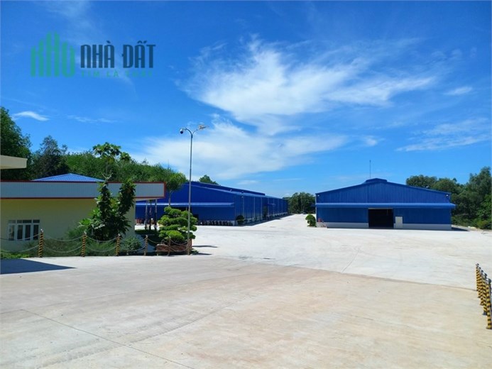 chuyển nhượng gấp nhà xưởng đang cho thuê hd thu nhập cao, Tam Lập . Bình Dương