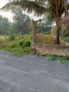 Chính Chủ Cần Bán đất cách tỉnh lộ 19 mặt tiền đường nhựa.