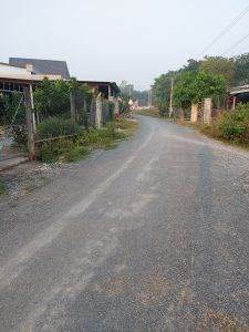 Chính Chủ Cần Bán đất cách tỉnh lộ 19 mặt tiền đường nhựa.