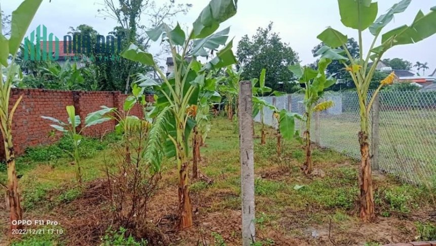 Bán nhanh bán gấp lô đất cực rẻ 221 m2 Giá 599 Tại Điện Tiến
