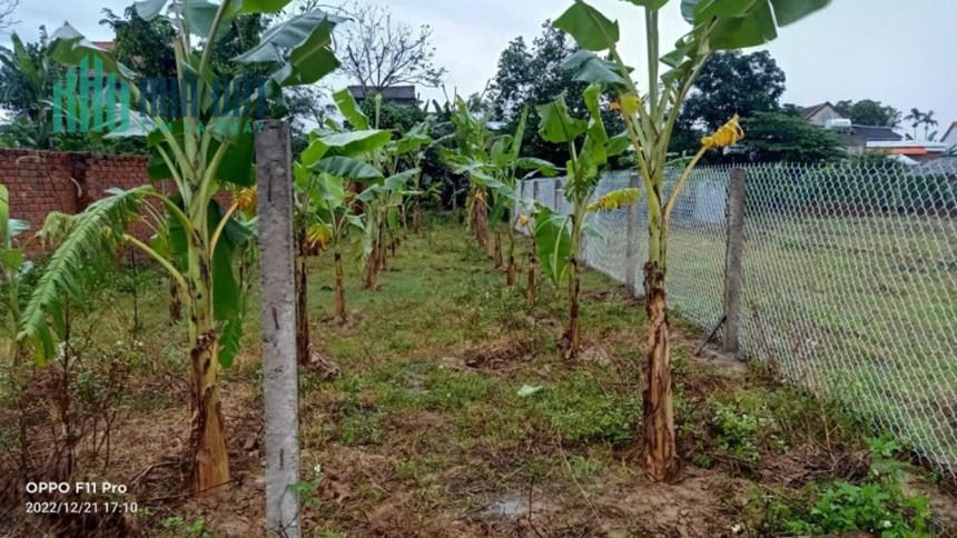 Bán nhanh bán gấp lô đất cực rẻ 221 m2 Giá 599 Tại Điện Tiến