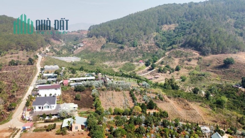 Cần bán gấp lô đất đẹp ở Tà Nung, sát Cafe Em Tà Nung với diện tích 3200m2, ngang mặt tiền 49m