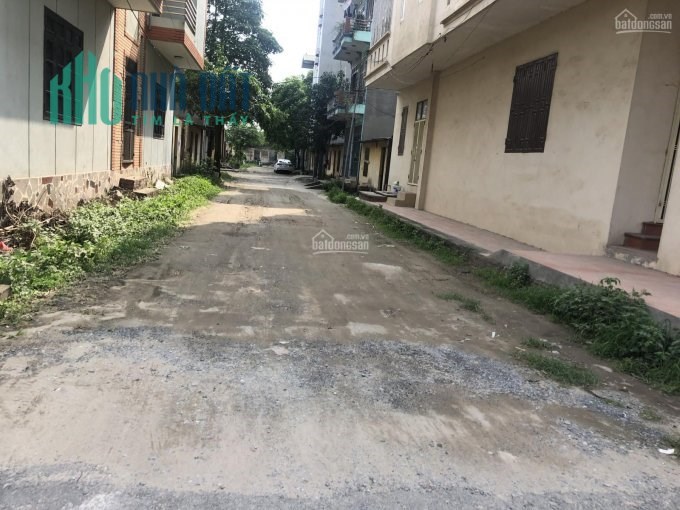 Bán đất Trâu Quỳ -56m2 Khu B viện rau quả mt 4m đường 5m,view sân chơi.0982852808