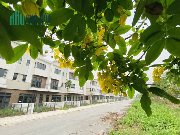 Shophouse Centa thanh khoản nhanh, lợi nhuận kép