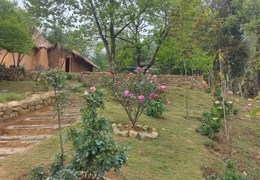 Bán sành homestay đẹp nhất Y Tý, quy hoạch sapa 2