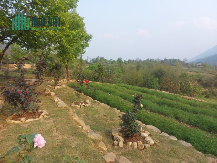 Bán sành homestay đẹp nhất Y Tý, quy hoạch sapa 2