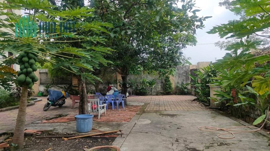 Bán đất tặng Biệt Thự + 2 cái nhà + 2 dãy phòng trọ PHƯỜNG An Phú Đông Q.12, 1481m2, Ngan 18m dài