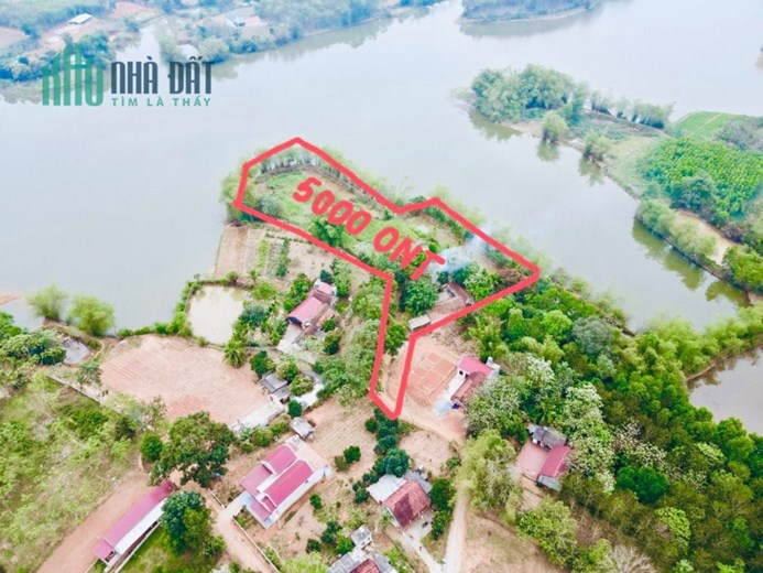 CẮT LỖ GẤP BÁN 5000M2 ĐẤT QUẢNG PHÚ - THỌ XUÂN, THANH HÓA.