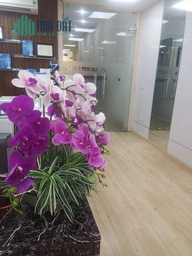 MẶT PHỐ TÂY  SƠN 100M2 6 TẦNG THANG MÁY-vỉa hè-KD-OTO tránh- 33 tỷ.