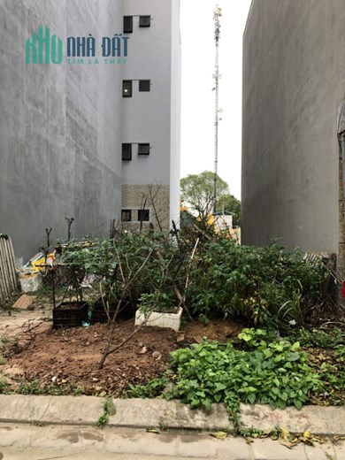 Bán đất Him Lam Thạch Bàn, View vườn hoa, 80 m2, giá chỉ 9,2 tỷ.