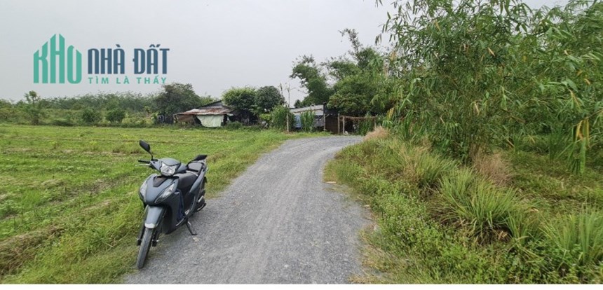 bán đất sào tây ninh, hậu dài miên man, KHÔNG CÓ đất lúa. tại Gò Dầu, Tây Ninh