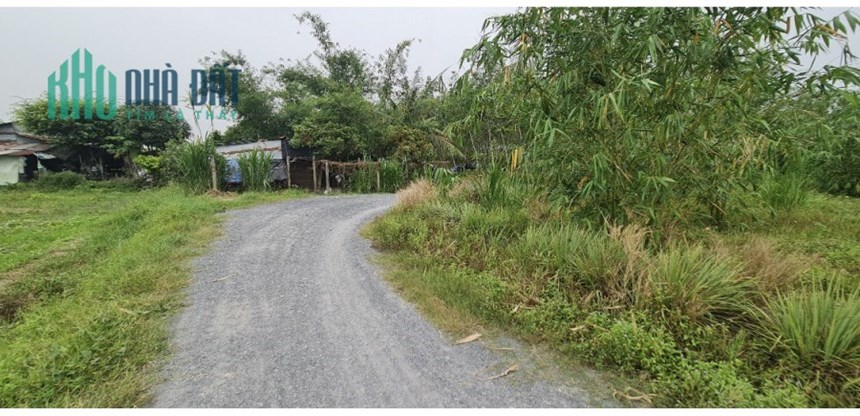 bán đất sào tây ninh, hậu dài miên man, KHÔNG CÓ đất lúa. tại Gò Dầu, Tây Ninh