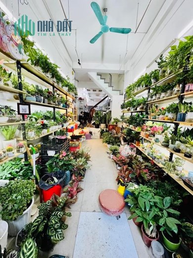 Nhà mặt phố HOÀNG HOA THÁM, BA ĐÌNH, KINH DOANH SẦM UẤT