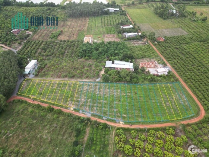 Kẹt Vốn Làm Ăn, Bán Gấp Đất Thanh Phước Huyện Gò Dầu